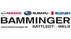 Logo Bamminger KFZ GmbH